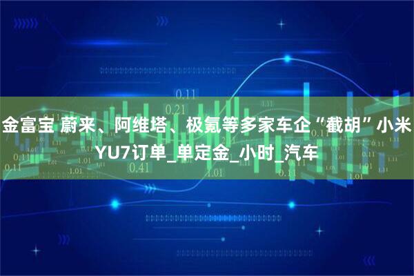 金富宝 蔚来、阿维塔、极氪等多家车企“截胡”小米YU7订单_单定金_小时_汽车